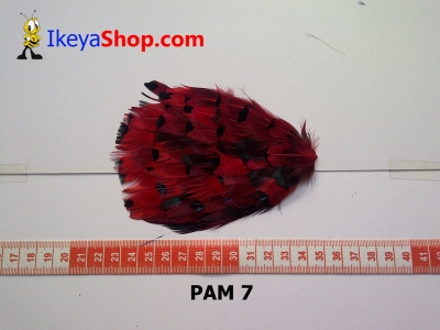 bulu PAD motif PAM 7   feather  large2